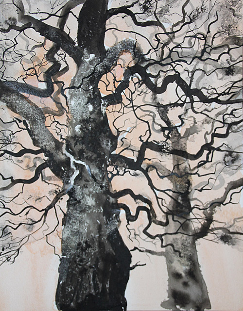 Blenheim’s ancient oak trees